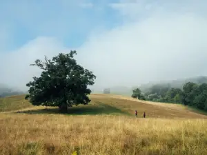 Teaser unterkuenfte meckl schweiz