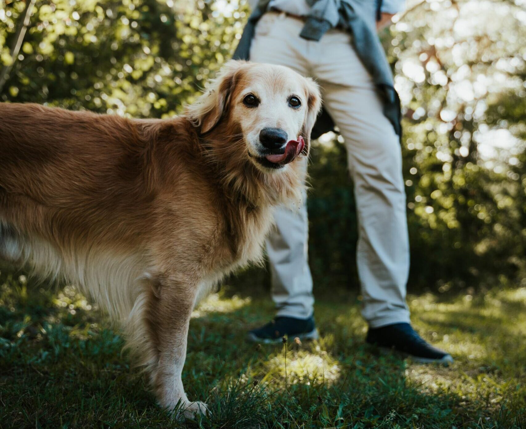 Person mit hund (2)