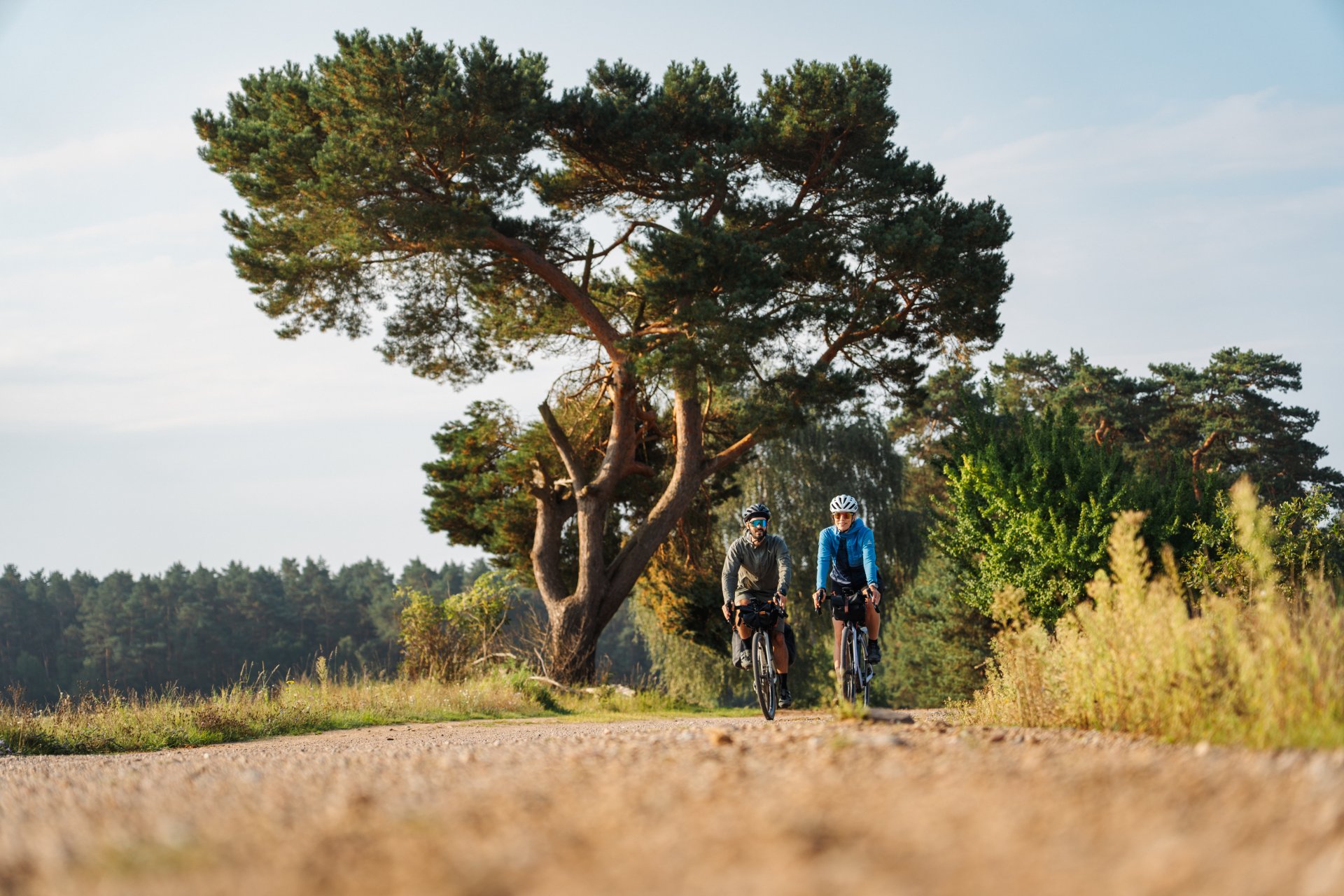 Fahrradtour im Müritz-Nationalpark bei Federow