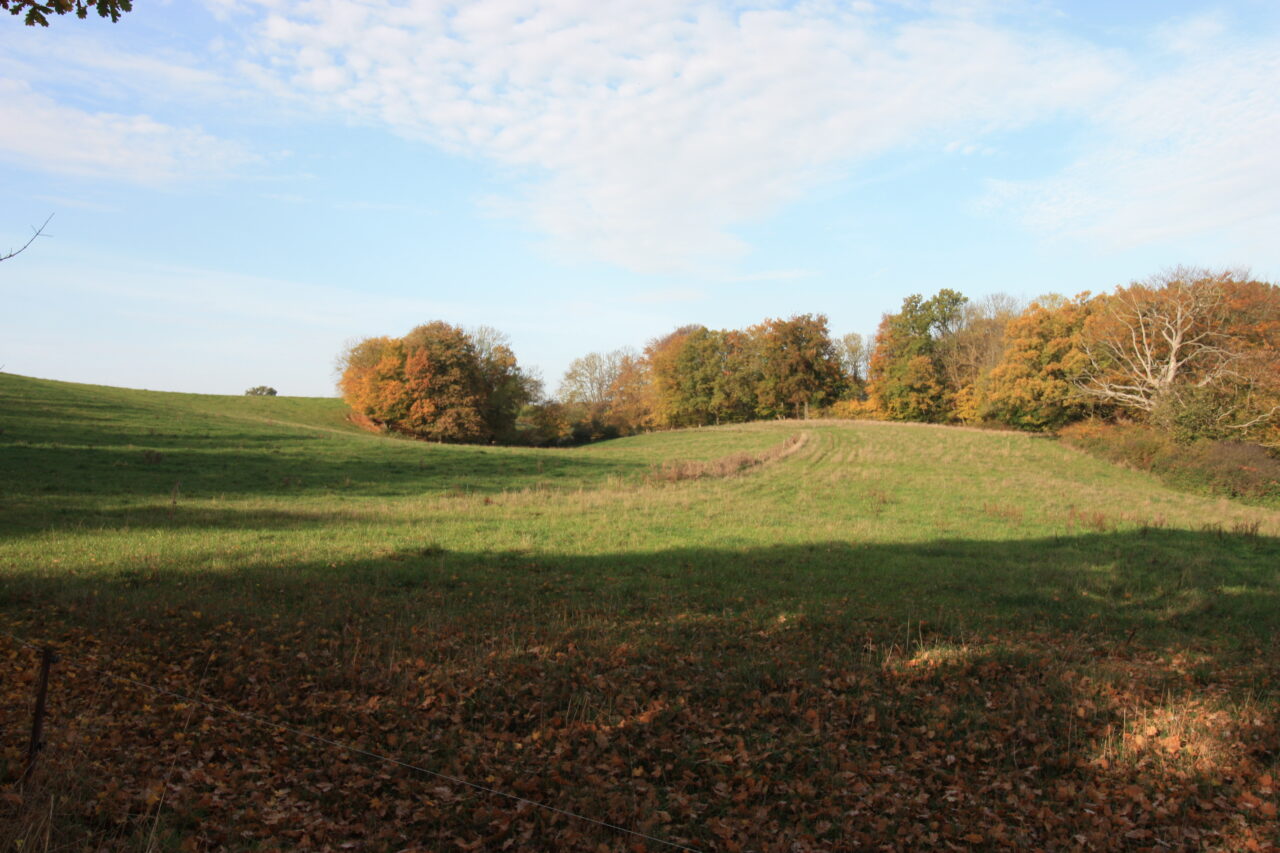 Wandertag im Malchiner Becken