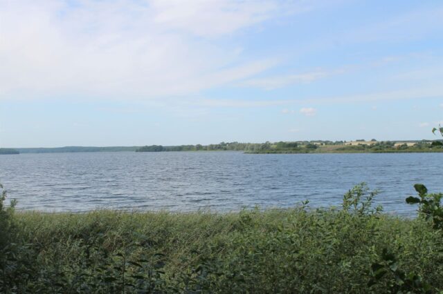 Aussichtskanzel Rohrsänger