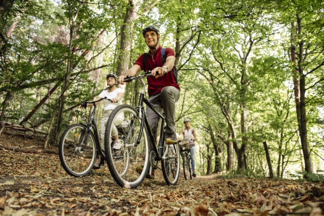 Radtour UNESCO Weltnaturerbe "Serrahner Buchenwälder"